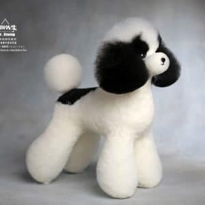 Teddy vacht zwart wit