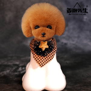 Teddy hoofd vacht rood