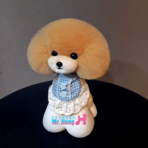 Teddy hoofd vacht champagne met witte snuit